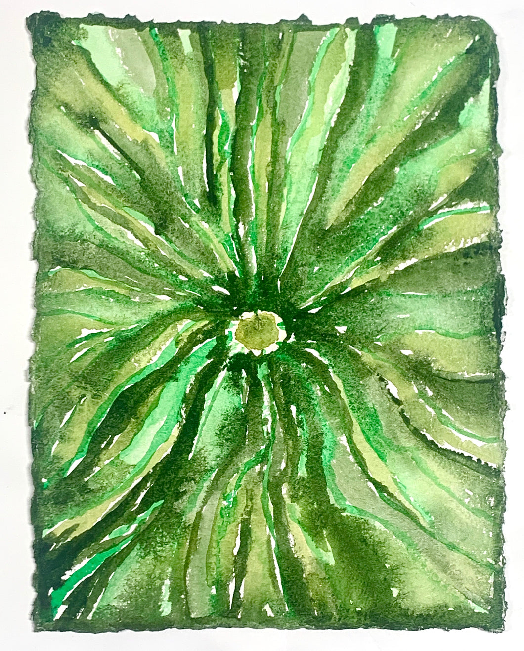 a growing seed