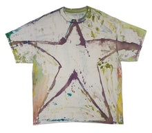 the star xii
