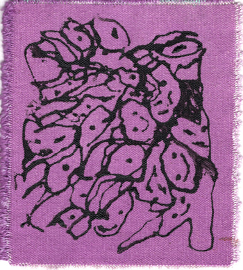#58