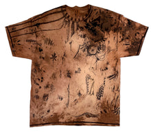 rosetta stone ix