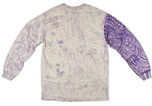 the illustrated